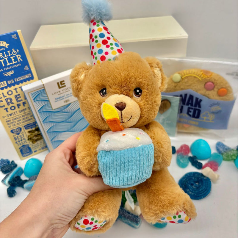 Birthday Boy Treatbox Gift Hamper with Teddy, Sea Salt Dark Chocolate & Sweets