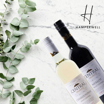 Central Monte Merlot & Chardonnay Wine Duo Gift Set. Bottle on marble background.
